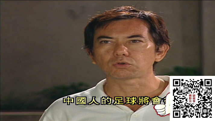 [香港][2003][功夫足球][张卫健/容祖儿/黄秋生/蔡卓妍/钟欣桐/吴君如][33集全][国粤双语中简繁字][17DVD5原盘/VOB][480P/共67.45G]