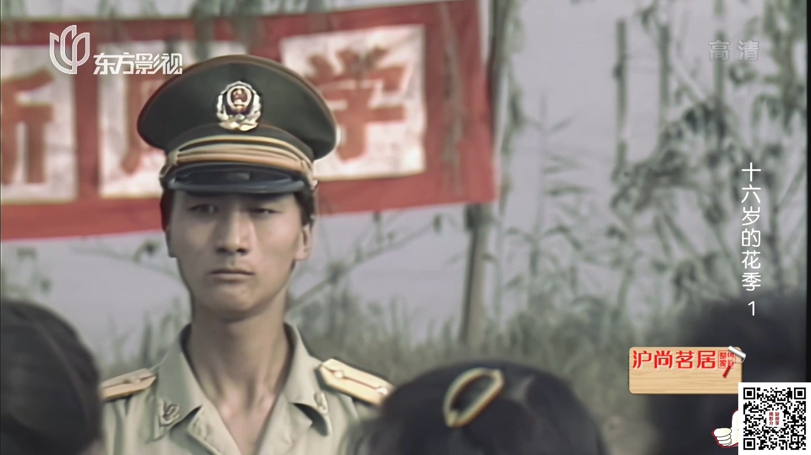 [中国内地][1989][十六岁的花季][战士强/吉雪萍][14集全][国语无字][ts/每集约1G][1080P][东方影视]