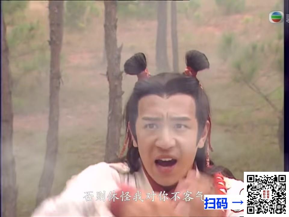 [TVB][2002][流金岁月][罗嘉良/温兆伦/宣萱][国语中字外挂繁体字幕][全45集][每集约860MB/TS]