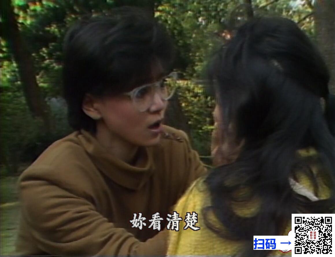 [网盘][1987年][庭院深深][秦汉/刘雪华][40集全/每碟约3.2GB][国语繁字][20DVD5/ISO][64.88GB][台湾艾娣]