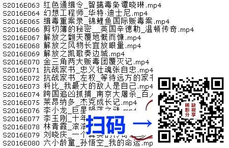 [百度网盘][中国内地][BTV档案2016/共155集][纪录片][BTV北京电视台经典纪实栏目/540P标清/包含完整目录][MP4/每集100M]