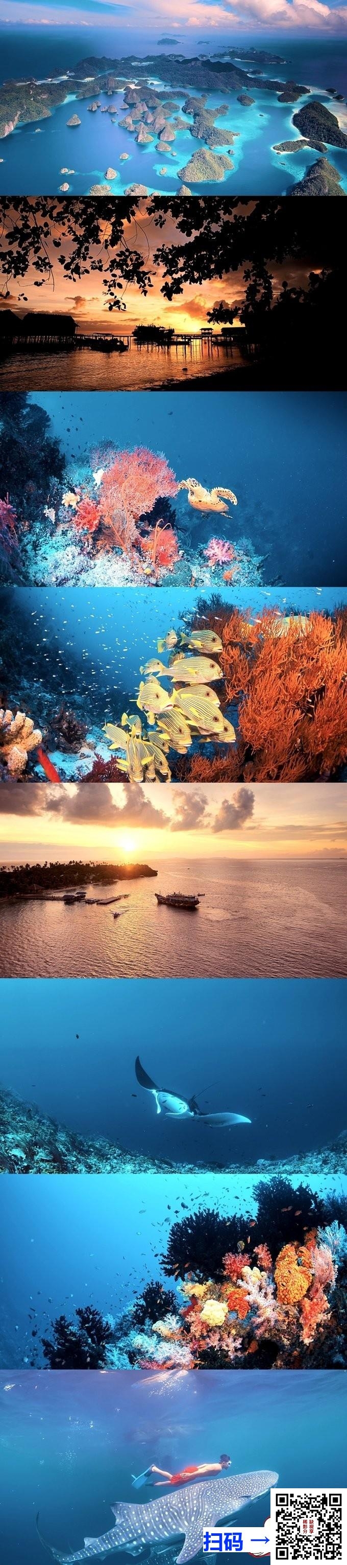[百度云][英国][2013年][南太平洋之旅][Journey to the South Pacific][英语中字][Bluray.1080p][mkv/4.4G]