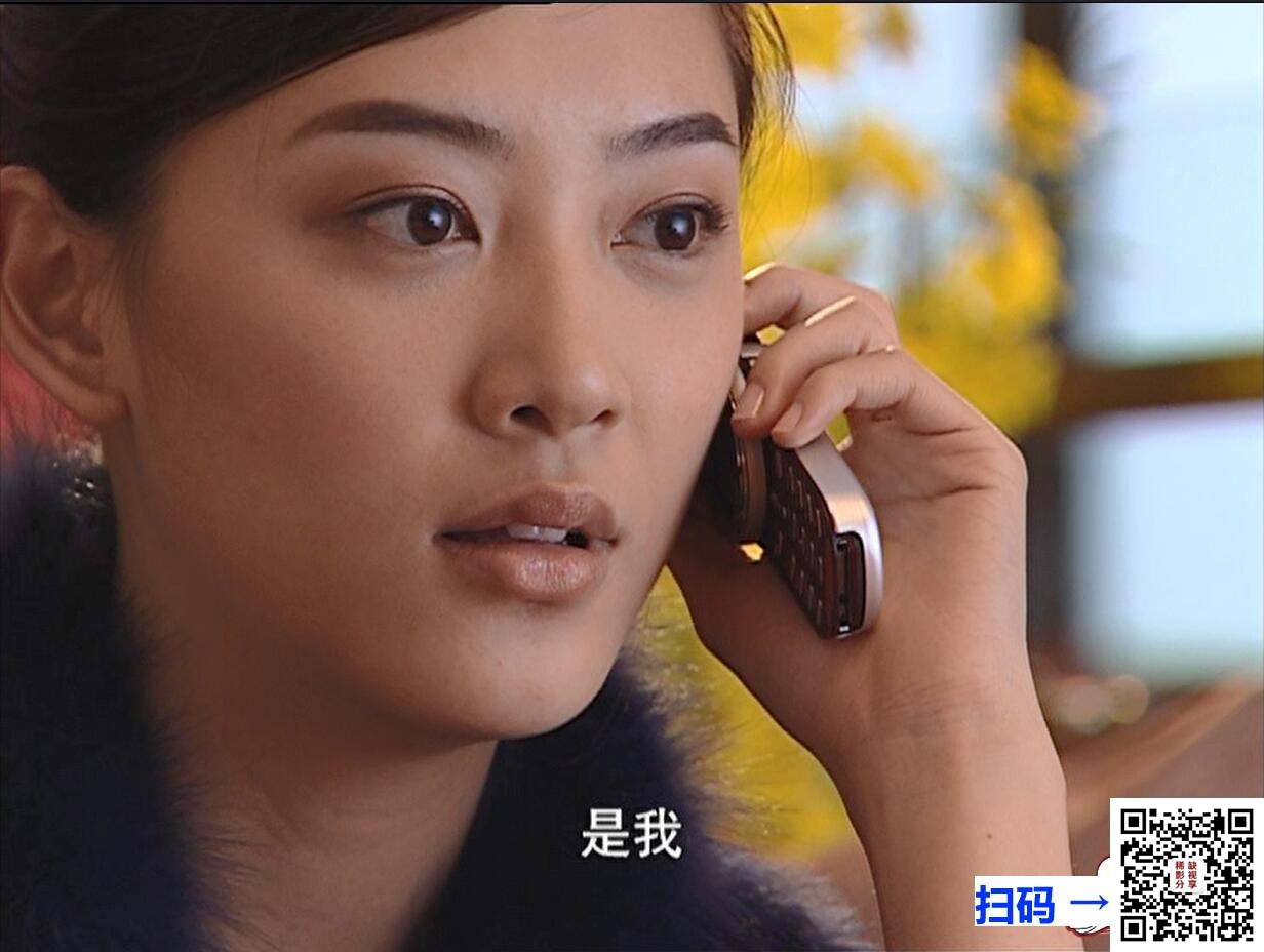 [网盘][2007年][香港姐妹/香港姊妹][曹曦文/应采儿][30集全/每碟约3.9GB][国语中字][10DVD5/ISO][39.38GB][中国国际]
