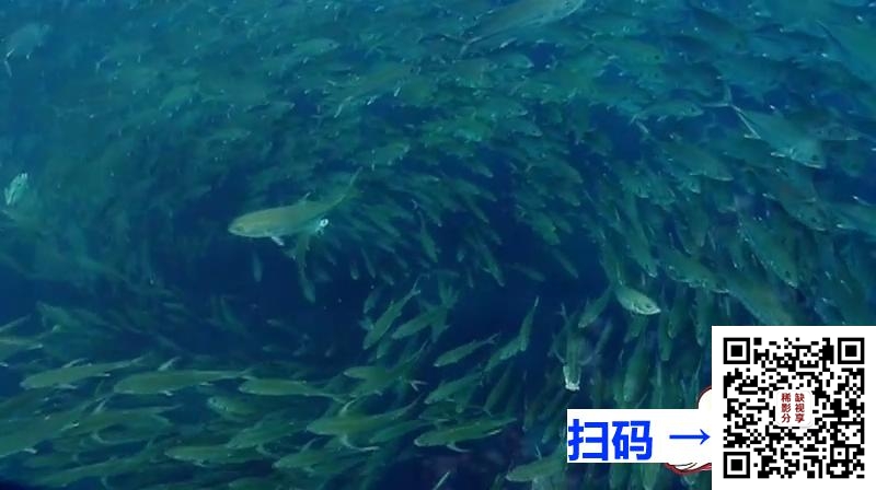 [百度云][中国][1954][永远年轻][国语无字][MPG/367M]