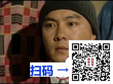 [中国内地][2008][黑金地的女人][王茜华/杨欣][23集全][国语中字][TS/每集220M]