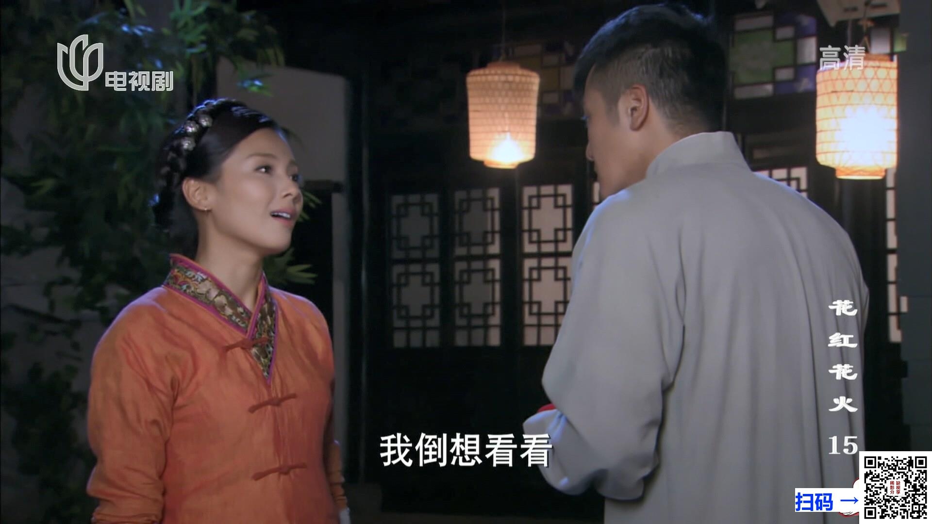 [网盘][2014年][花红花火][张嘉益/刘涛][48集全][国语中字][TS/每集约2.3GB][上海电视剧频道][1080i][105GB]