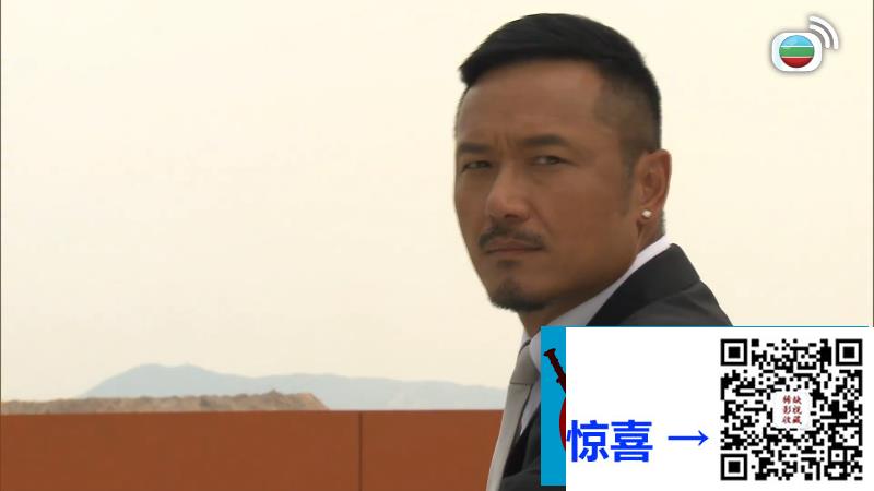TVB_2013_好心作怪_苗侨伟_黄宗泽_万绮雯_30集全_国粤双语中字_1080P_ts_每集约760M_TVBAnywhere北美版
